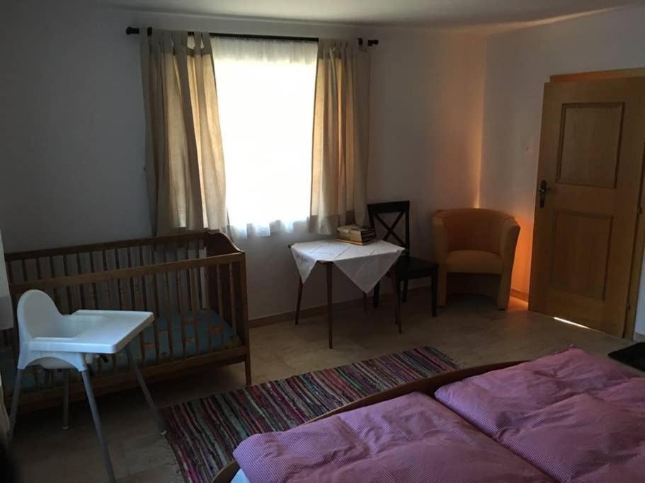 Apartment Julia & Maria Гопфгартен-ім-Бріксенталь Екстер'єр фото